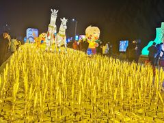 -长春公园(普阳街道)