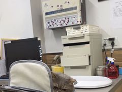 -爱侣宠医·鹦鹉专科·小型哺乳类·异宠专科(灵石路店)