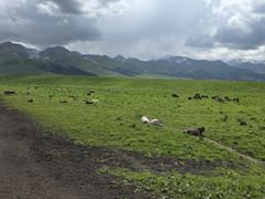 -新疆那拉提国家旅游度假区