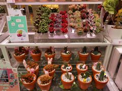 -KKV(重庆东原悦荟主力店)