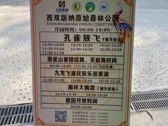 -西双版纳原始森林公园