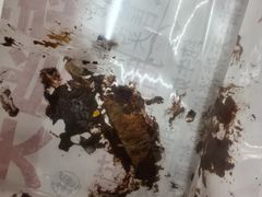 -红星前进面包牛奶公司(五道口购物中心店)