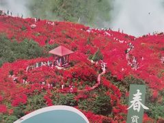 -大围山国家森林公园