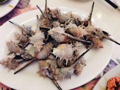 刺螺-花乐餐厅(涠洲岛店)