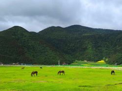 -纳帕海依拉草原