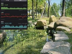 -春花秋色城市公园