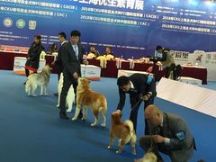 -东浩兰生上海世博展览馆