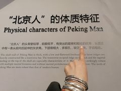 -北京周口店北京人遗址博物馆