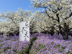 -江苏三台山国家森林公园