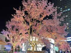 -首开·龙湖成都西宸天街
