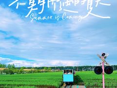 -稻梦空间