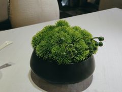 -潇湘府•湘菜领军品牌(望京店)
