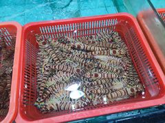 -渔民新村(番禺总店)