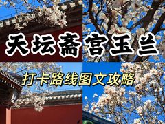 -天坛公园