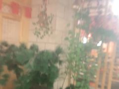 -九田家黑牛烤肉料理·自助(洪洞县城市花园店)