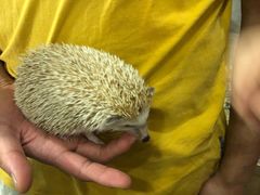 -藦茜花园宠物主题亲子互动体验馆(国顺东路店)