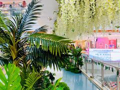 -巴黎春天(浦建店)
