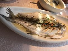 清蒸太湖白鱼-天福苑(崇宁路店)