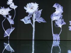 -时代美术馆-成都馆