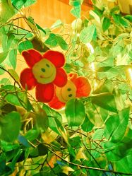 -疯狂冒险家-亲子密室-东坝店(金隅嘉品店)