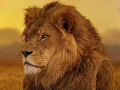 -星巴克(西藏路店)