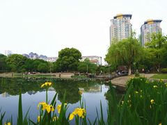 -昆山城市公园