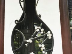 -汇龙潭