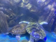 -太平洋海底世界