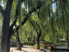 -玲珑塔公园
