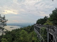-浔味·山屿湖·正宗淳牌全鱼宴老字号