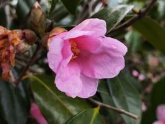 -杭州西湖风景名胜区-钱祠表忠