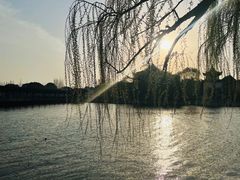 -锦溪古镇