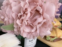 -向阳松鼠(江口店)