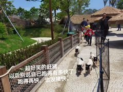 -珠海海泉湾神秘岛亲子乐园
