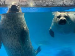 -梦幻海洋王国(吾悦广场张家港店)