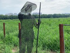 -汉长安城未央宫国家考古遗址公园