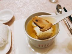松茸炖绣球豆腐-新光酒家·河豚·海鲜·蟹料理(浦东店)