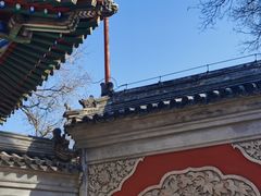 -北京艺术博物馆(万寿寺)