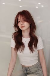 -YESIDO椰岛造型