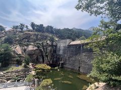 -泰山风景名胜区