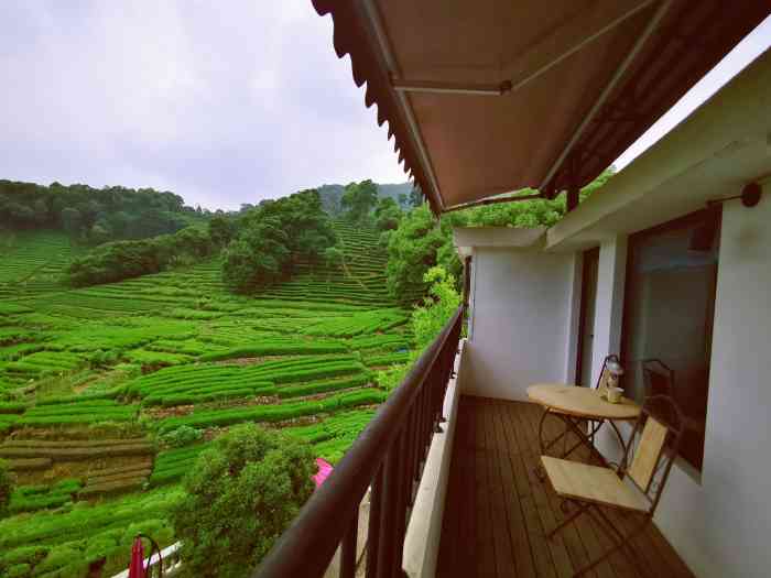 坡上民宿-"和朋友自驾游来梅家坞喝茶95无意间发现.