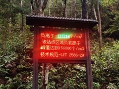 -姑婆山旅游区