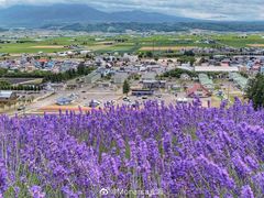 -富田农场