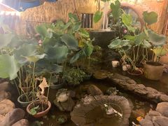 -园林美食城·本土农家菜(杨和镇店)