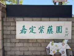-嘉定紫藤园