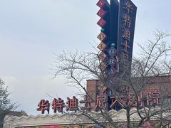 -迪士尼小镇