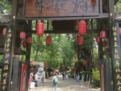 -合肥滨湖国家森林公园