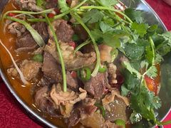 土豆烧牛腩-蜀膳坊(洪公祠小区店)