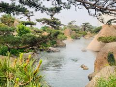 -罗红摄影艺术馆