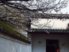-阿育王寺